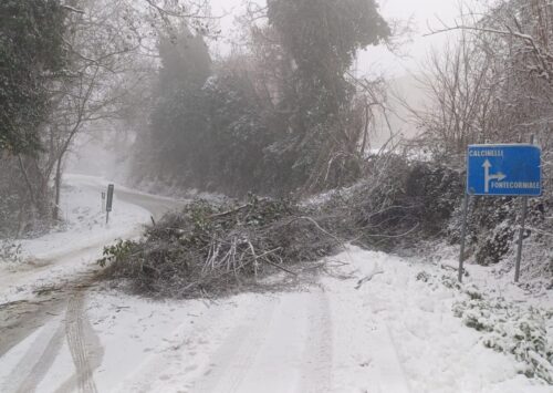 Neve, Provincia in azione sulle strade